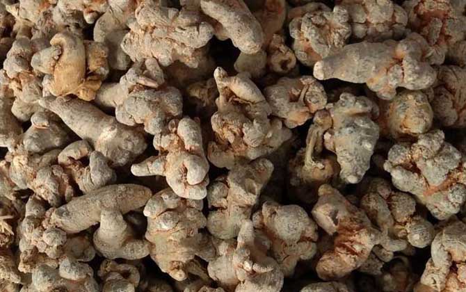 三七粉哪个厂家好？/三七粉哪里的最好最纯